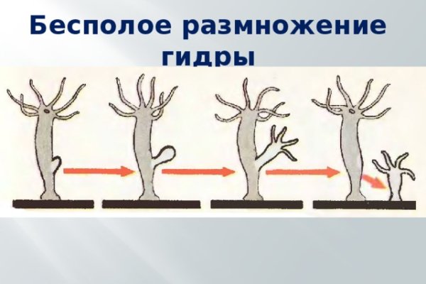 Адрес сайта кракен