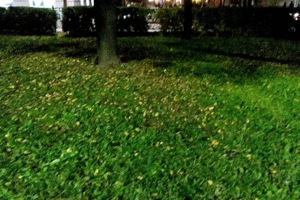 Кракен даркнет скачать