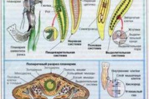 Не могу зайти на сайт кракен