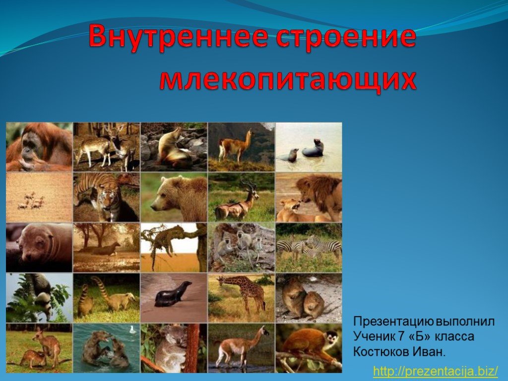 Кракен вход зеркало