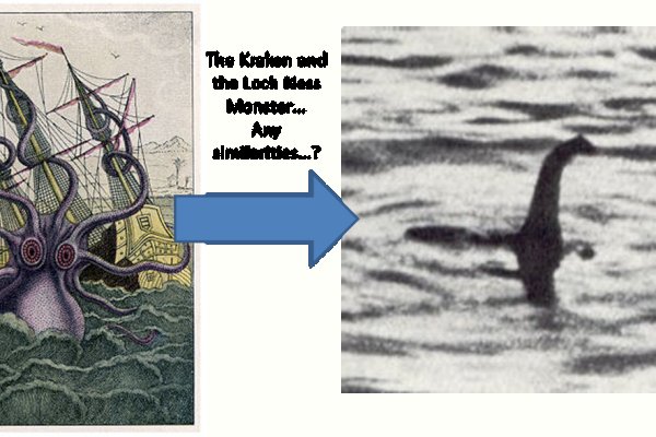 Как вывести деньги с kraken
