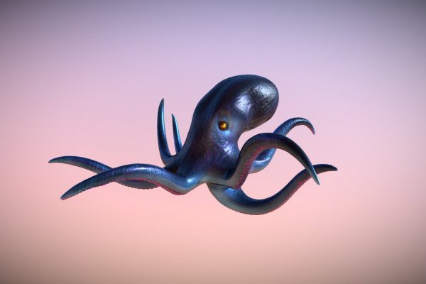 Kraken18 at