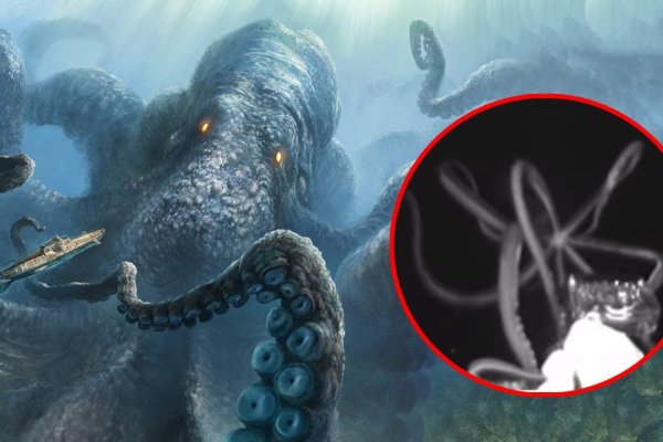 Kraken даркнет что это